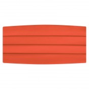 Satin Coral Cummerbund