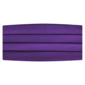 Satin Cummerbund and Bow Tie Set  in Plum