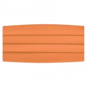 Satin Tangarine Cummerbund